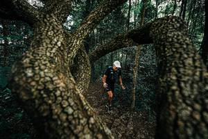 BIB: 
                            <button type="button" onclick="openModal(25393630)" class="btn btn-primary btn-sm float-right btn-popup" data-toggle="modal" data-target=".modal-high-quality">
                        <i class="fas fa-shopping-cart"></i> Add to Cart
                    </button>
                                            <button type="button" onclick="isThisMe(25393630, true)" class="btn btn-success btn-sm float-right btn-popup btn-isme hidden" data-toggle="tooltip" data-placement="bottom" title="นี่คือรูปของคุณใช่ไหม คลิกที่นี่เพื่อเอาเข้าอัลบั้ม">
                        <i class="fas fa-plus"></i> Add to album
                    </button>
                    <button type="button" onclick="isThisMe(25393630, false)" class="btn btn-warning btn-sm float-right btn-popup btn-isnotme hidden">
                        <i class="fas fa-ban"></i> Remove from album
                    </button>